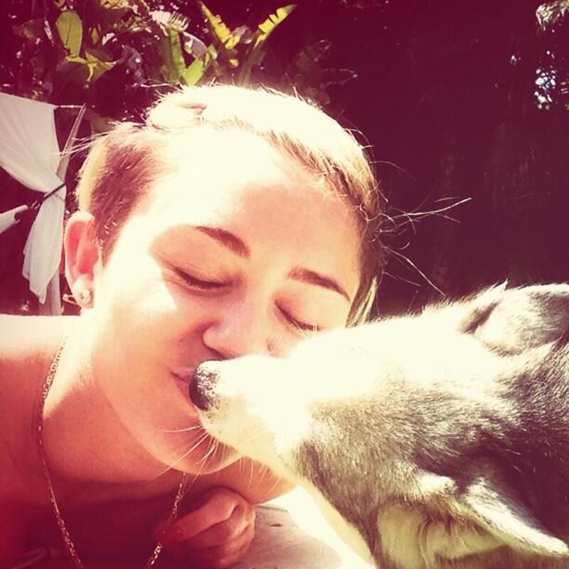 galleries/2013/08/18/lady-gaga-olivia-wilde-more-celebrity-twitter-pictures-photos/130815-celeb-instagram-07_ljtntq