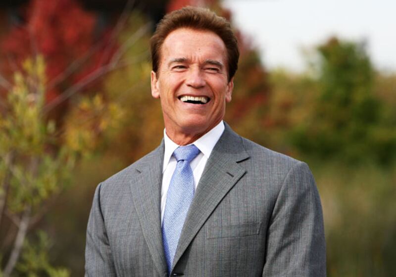 galleries/2009/11/30/rise-of-the-blue-power-ties/friedman-rise-of-the-power-ties-schwarzenegger_fudhvy