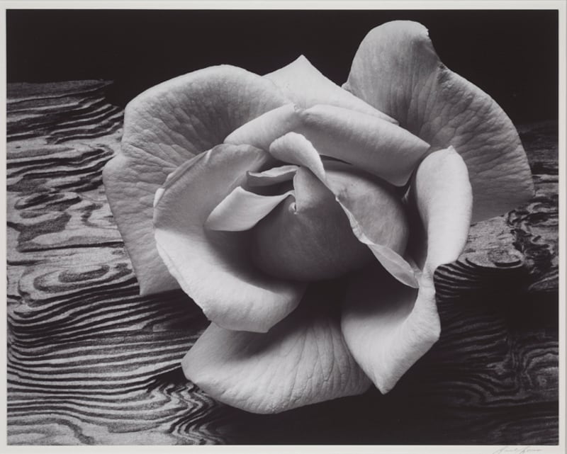 galleries/2011/08/14/modernist-photography-exhibit-boston-mfa-photos/boston-mfa-gallery05_ud0m07