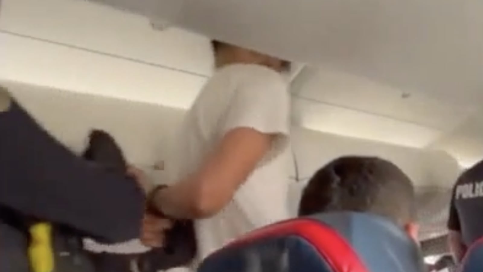 Flight 3612, operated by SkyWest, was flying from Omaha to Detroit when chaos broke out around 7 p.m.