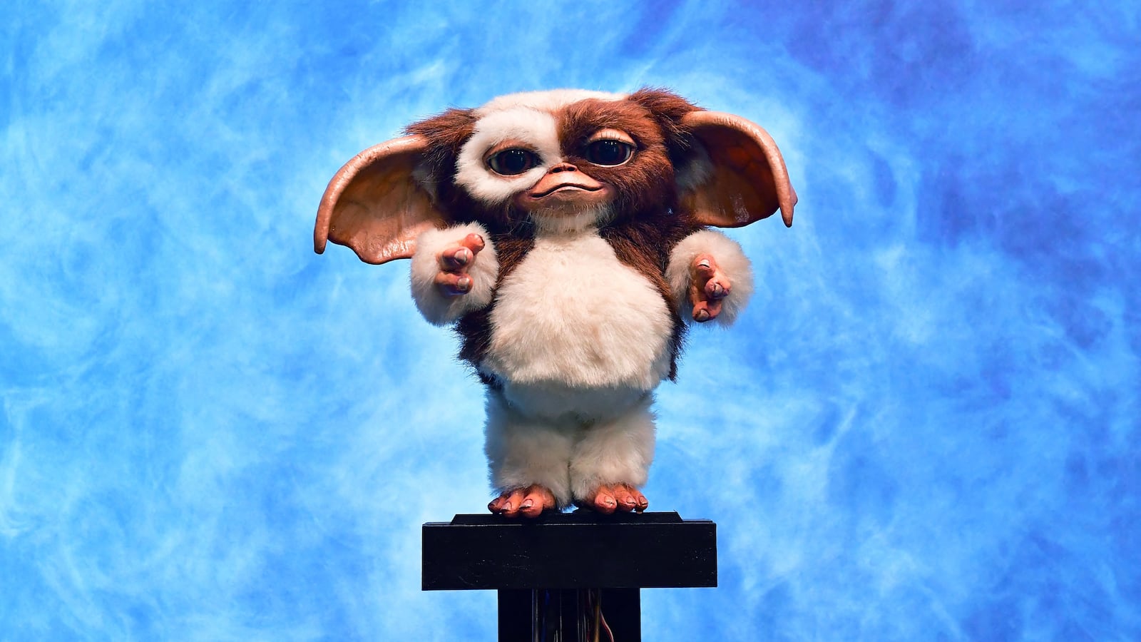 Hero Animatronic Gizmo puppet from the 1990 film "Gremlins 2: The New Batch" is displayed at Propstore on May 9, 2022 in Valencia, California before auction next month. - The item is estimated to sell at between $80,000 - $120,000. (Photo by Frederic J. BROWN / AFP) (Photo by FREDERIC J. BROWN/AFP via Getty Images)