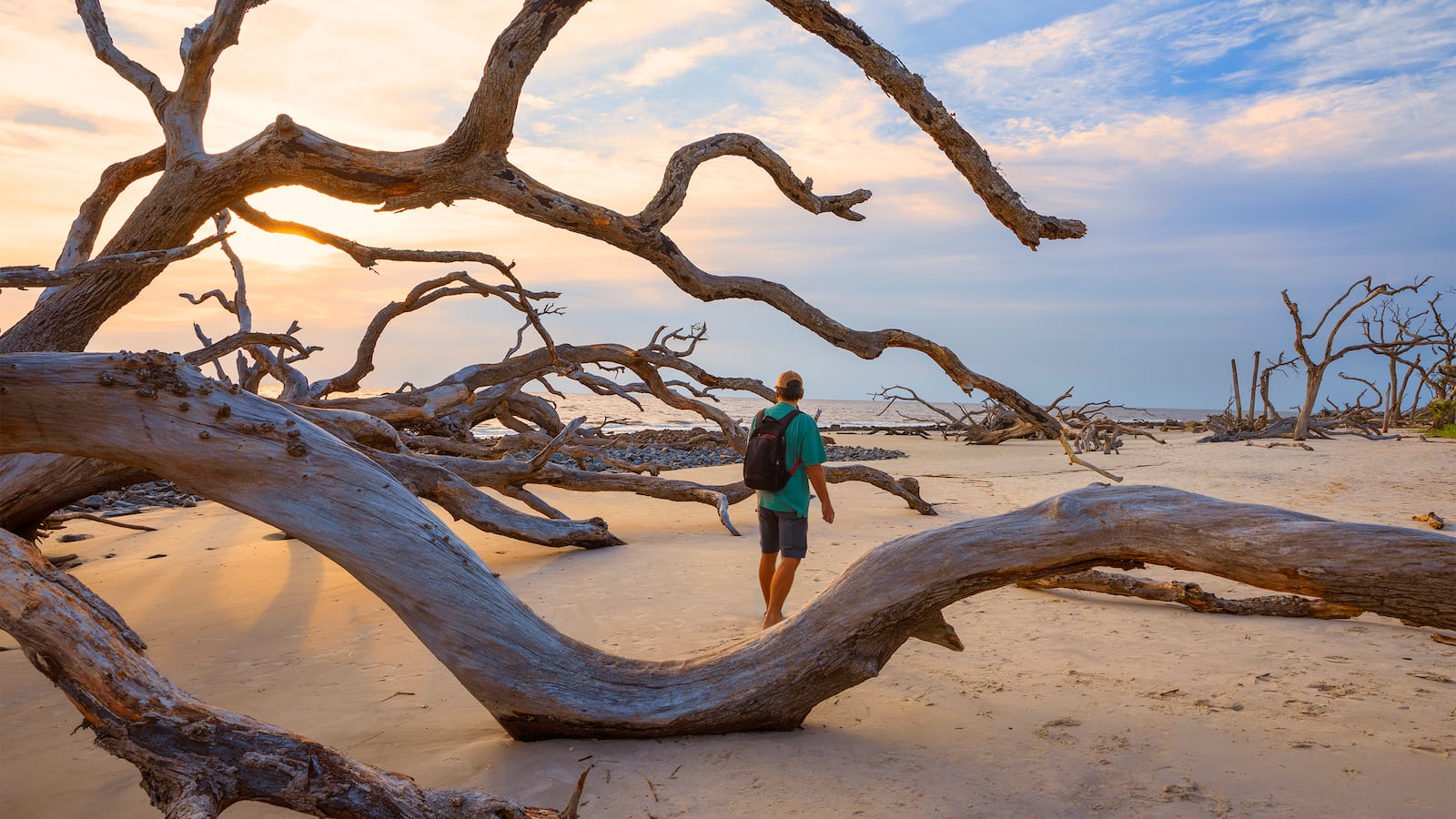 A photo of a hiker walking through driftwood beach on Jekyll Island, Georgia.