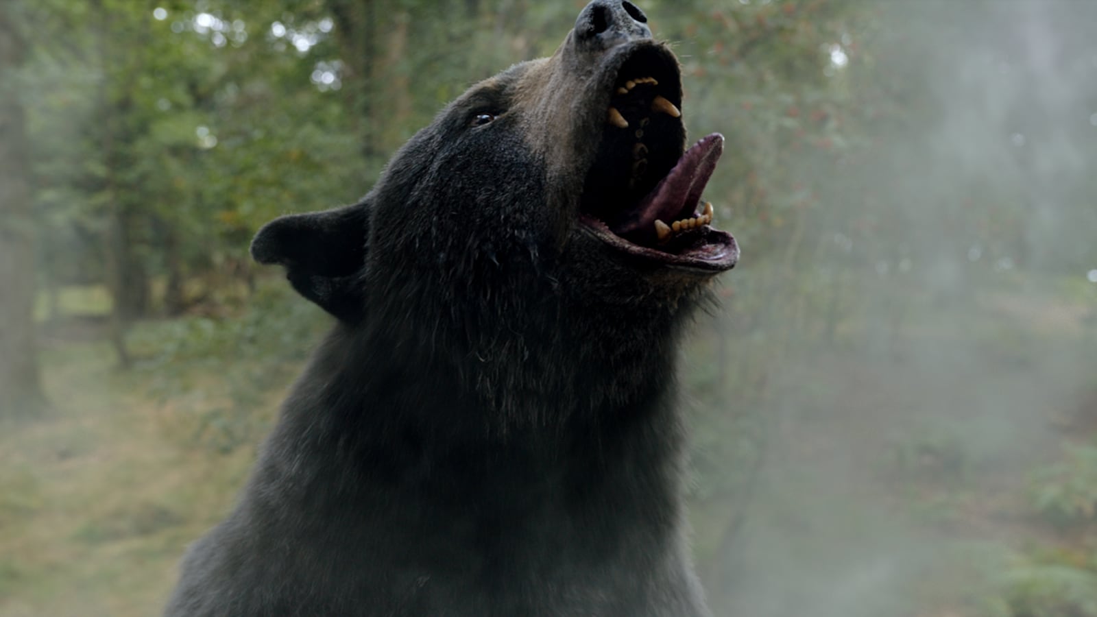 Screen_Shot_2023-03-27_at_6.09.25_PM_wvpqji