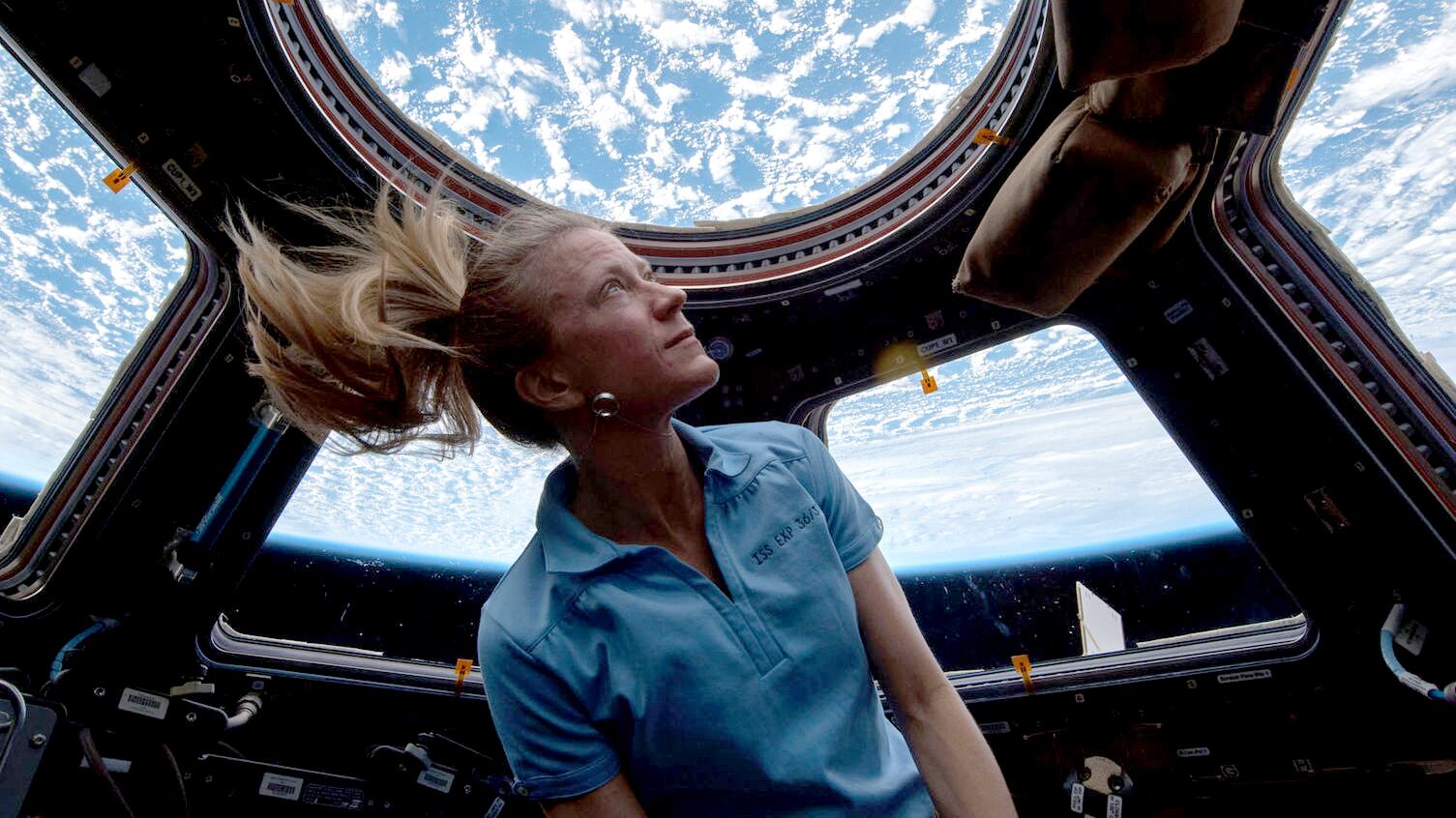 astronaut_lookout_f6tdce