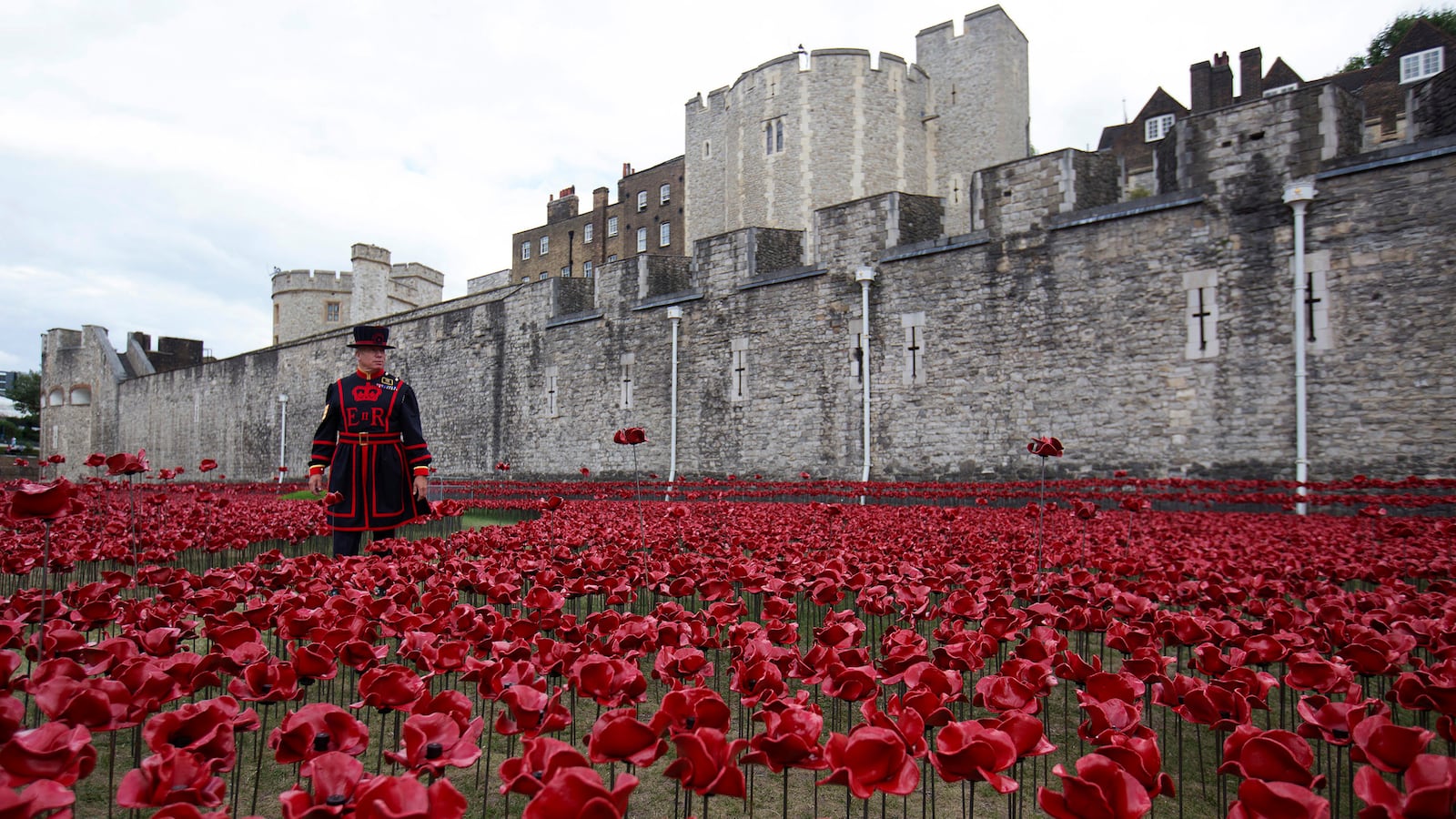 articles/2014/09/22/blood-and-war-the-hard-truth-about-boots-on-the-ground/140920-irving-london-poppies-tease_mfx9wn