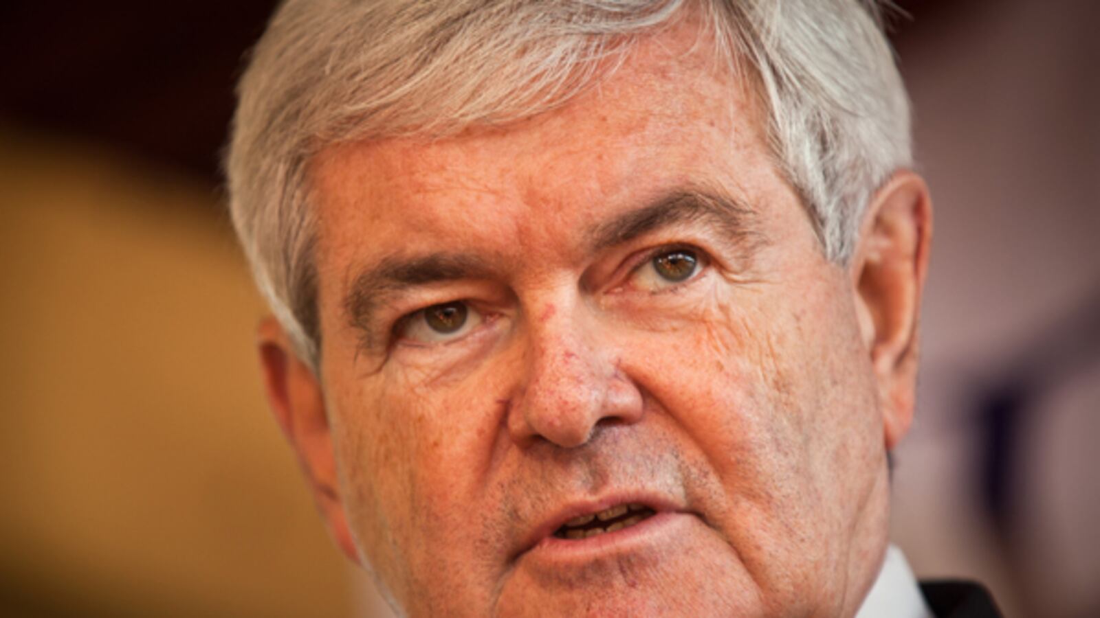cheats/2011/12/25/newt-virginia-ballot-is-like-pearl-harbor/newt-not-on-iowa-ballot-pearl-harbor-cs_zguabo
