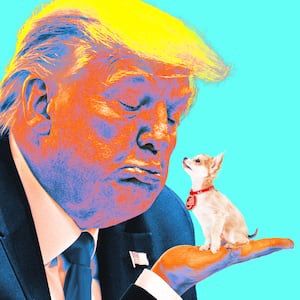 A photo illustration illo of Donald Trump holding a tiny puppy.