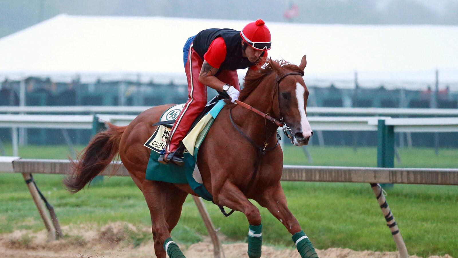cheats/2014/05/19/california-chrome-can-wear-nasal-strips/140519-california-chrome-cheat_bcncwn