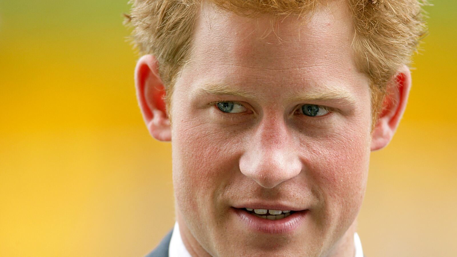 articles/2011/11/07/prince-harry-warned-off-fornicating-by-arizona-mayor/prince-harry-warned-sykes_oiav3v