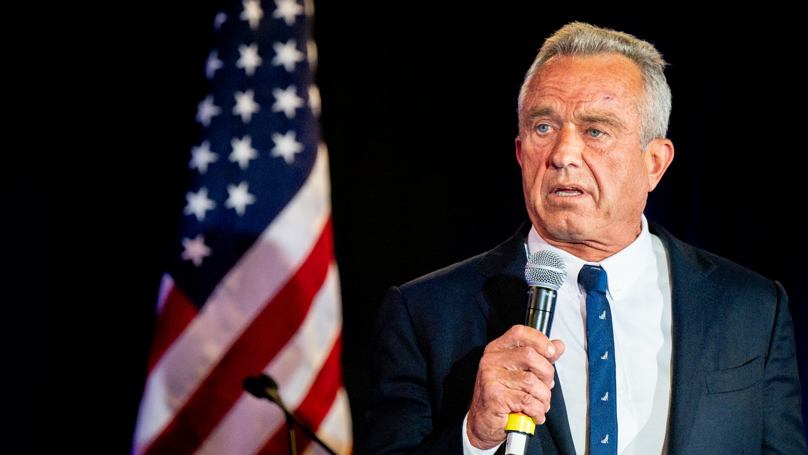 Robert F. Kennedy Jr. slammed Kamala Harris in an X post following reports that she’d rebuffed his request for a meeting to discuss endorsing her campaign in exchange for a job in her administration.