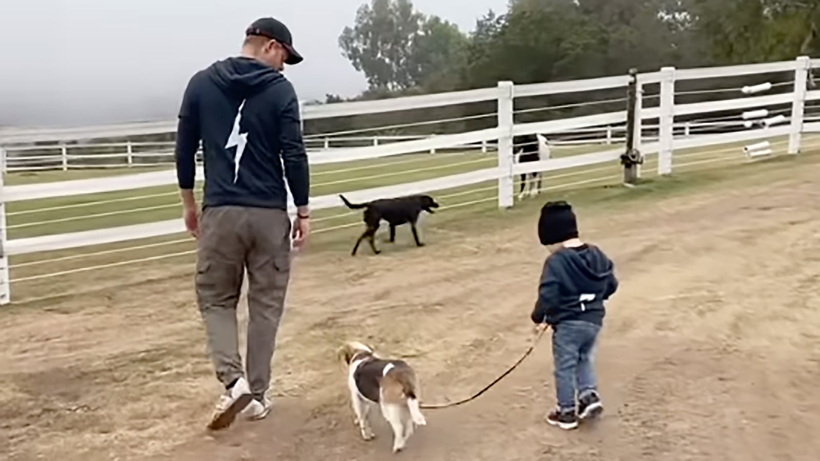 Prince Harry, Archie walking dogs