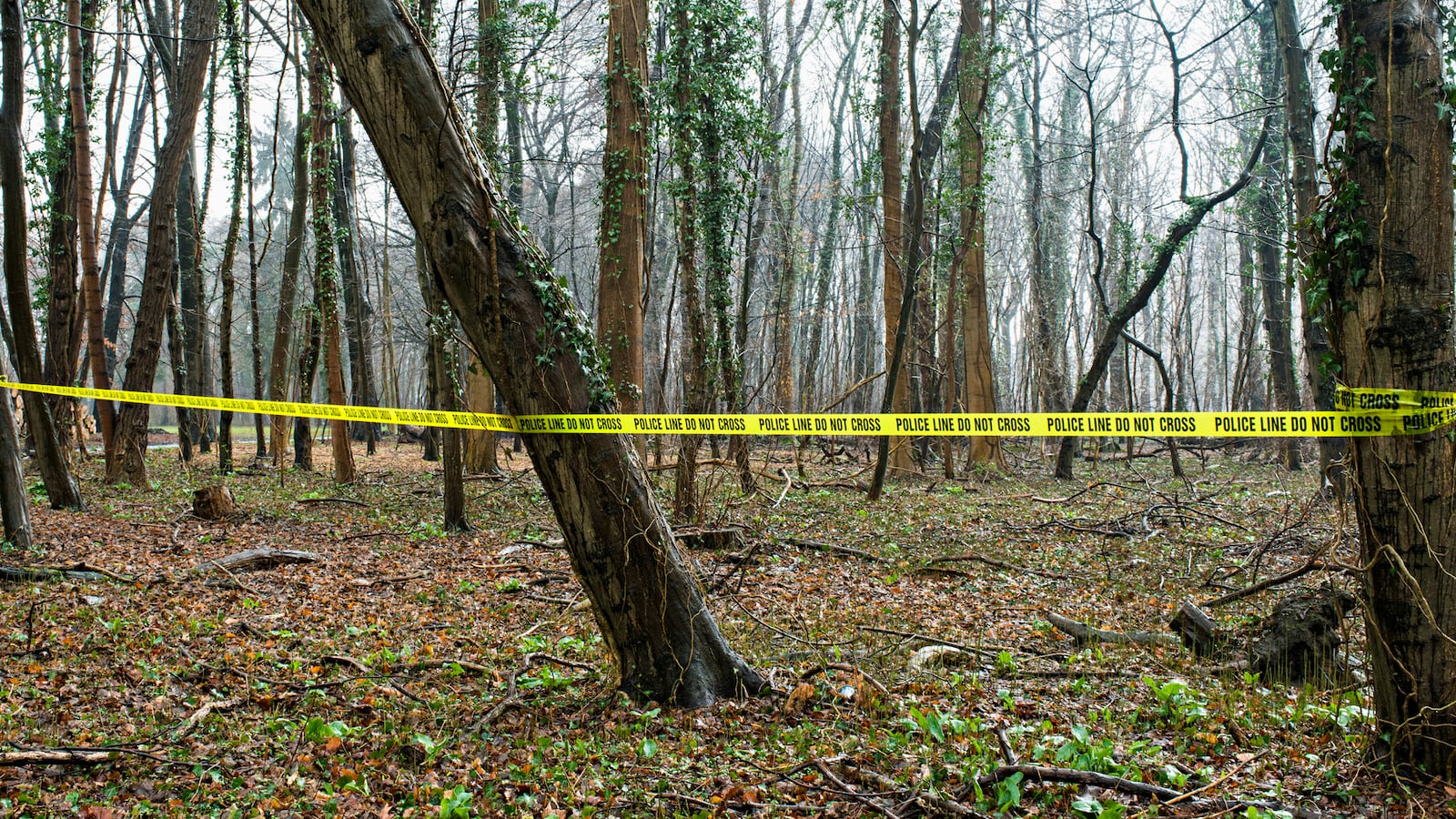 GettyImages-673840416_olksz4