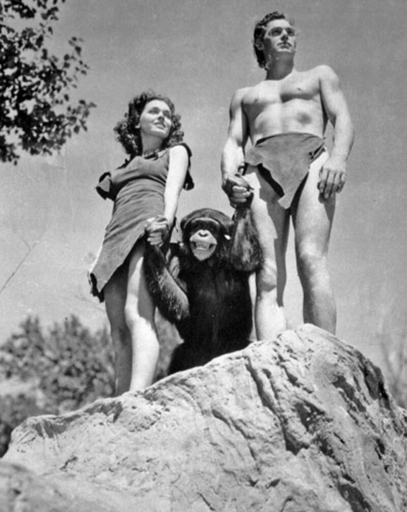 galleries/2011/12/28/rip-cheetah-from-tarzan-and-other-vintage-animal-stars-photos/cheetah-chimpanzee-tarzan-vintage-hollywood-animal-stars_t3zlc9