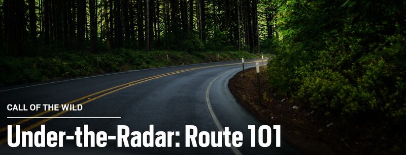 Route101_hydmvh