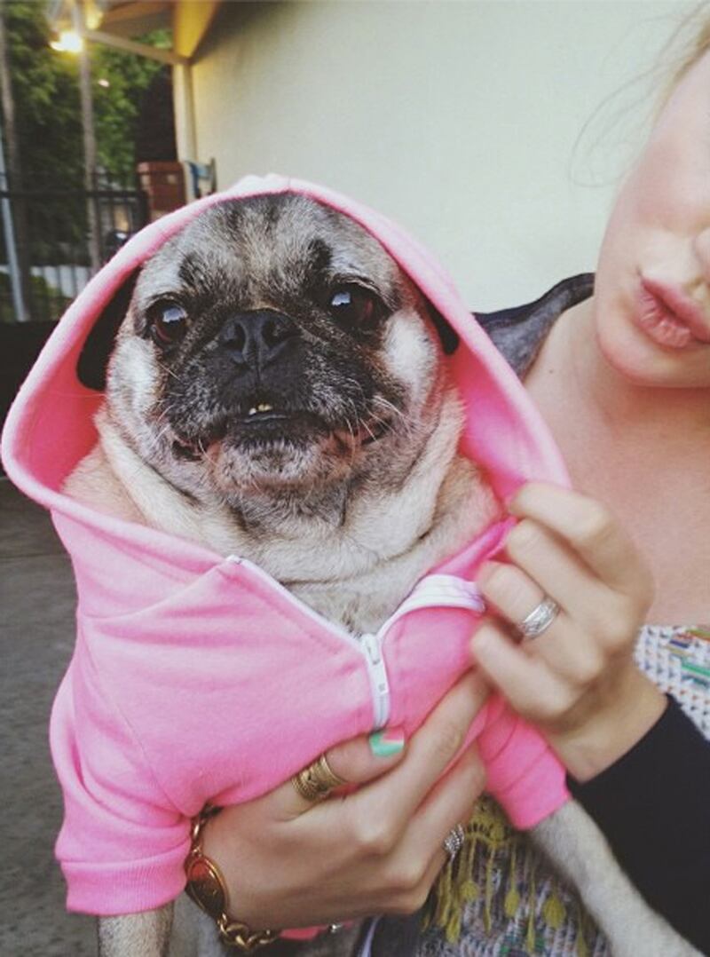 galleries/2013/06/22/eva-chen-karlie-kloss-more-fashion-instagrams/ireland_uhbw9t