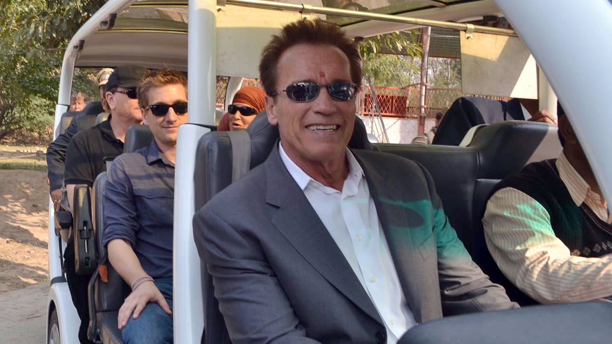 cheats/2012/02/08/schwarzenegger-and-stallone-join-forces/schwarzenegger-stalone-movie-cheat_yvmz1h