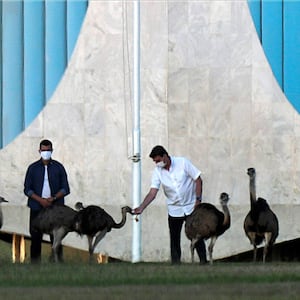 2020-07-13T212136Z_492432896_RC2LSH9Z2FL1_RTRMADP_3_HEALTH-CORONAVIRUS-BRAZIL_qh3dy9