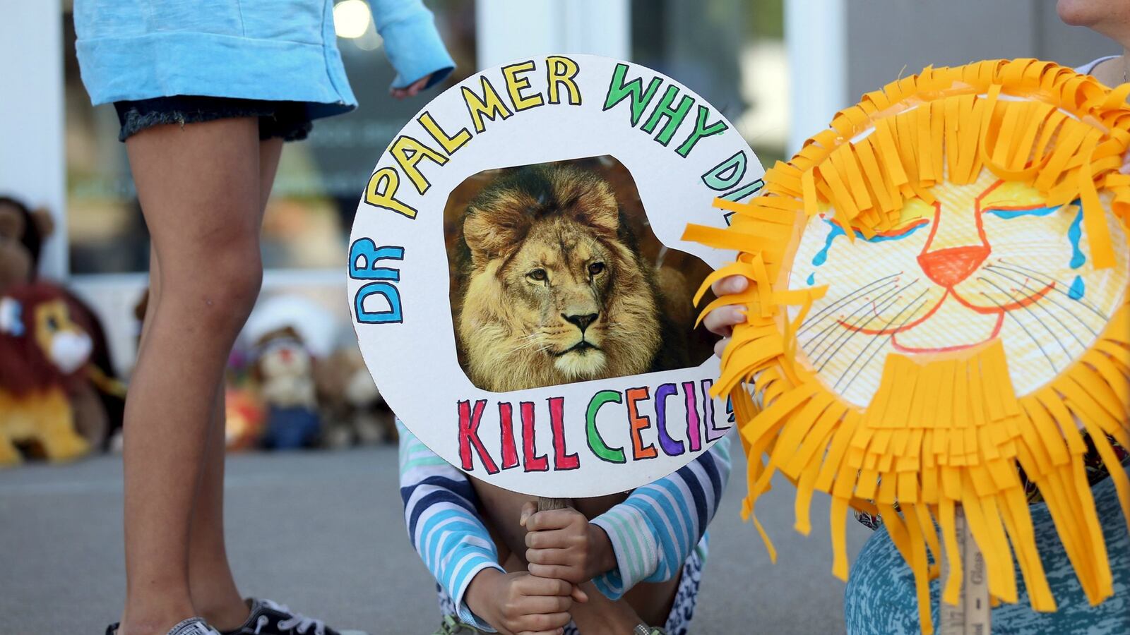 cheats/2015/07/30/zimbabwe-on-cecil-what-lion/150730-cecil-who-cheat_tsa4pq