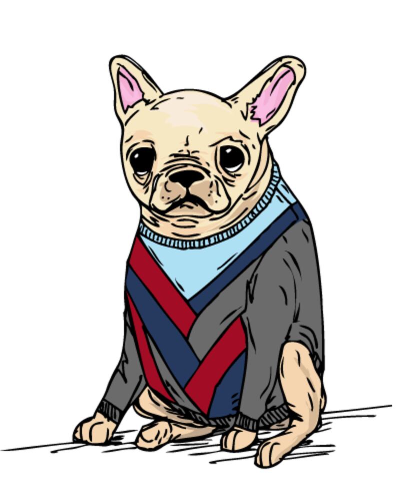 galleries/2013/01/10/wear-this-to-that-an-amazing-new-tumblr/french-bulldog-wear-this-to-that_cpqauv