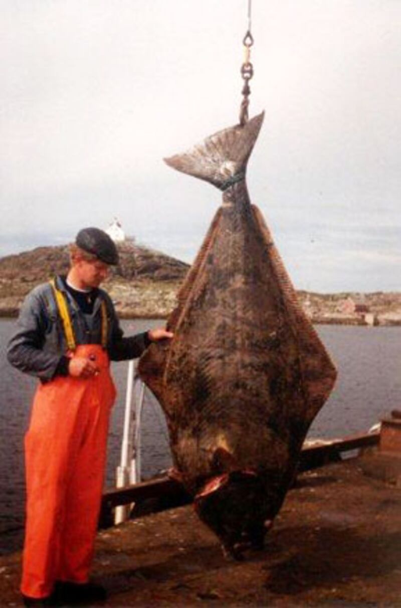 galleries/2010/06/14/summer-food-norway/summer-food-series-1---7_kjmen9