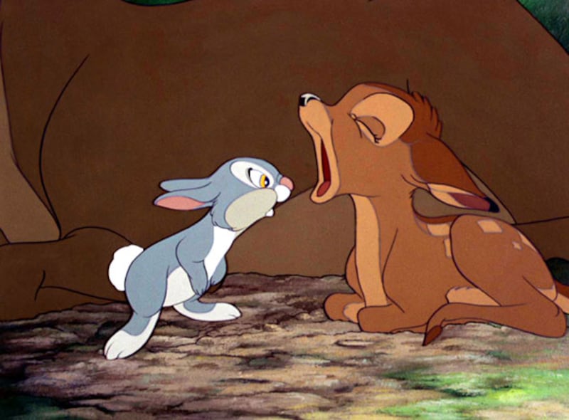 galleries/2011/04/22/influential-rabbits/influential-rabbits---thumper_qjgeuf