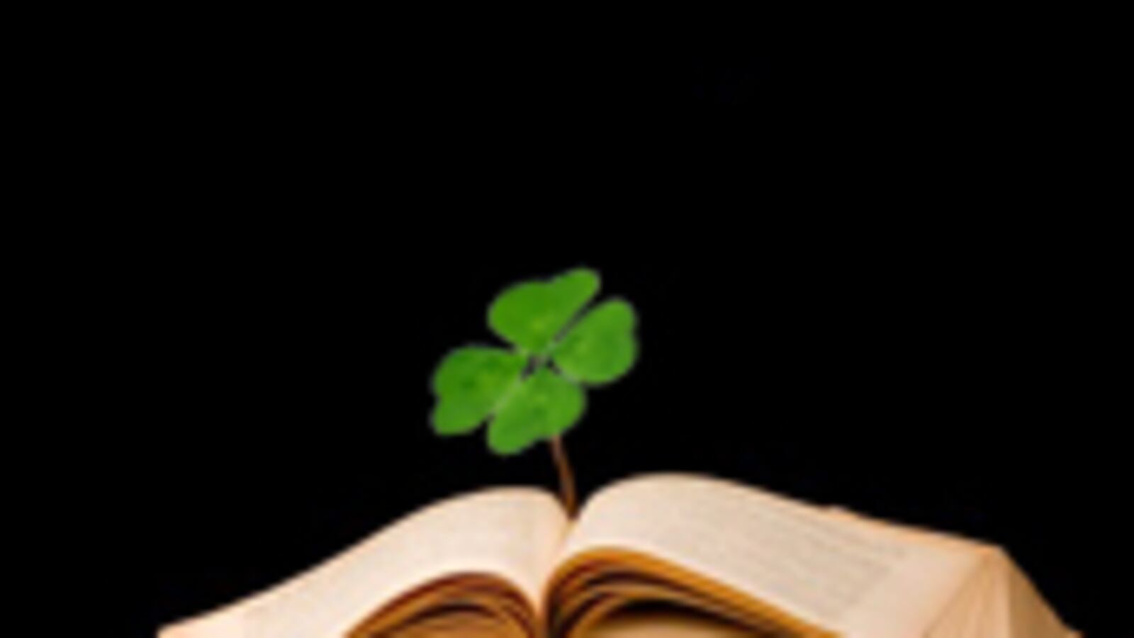 articles/2009/03/17/read-me-im-irish/salter-irish_18197_p4p48b