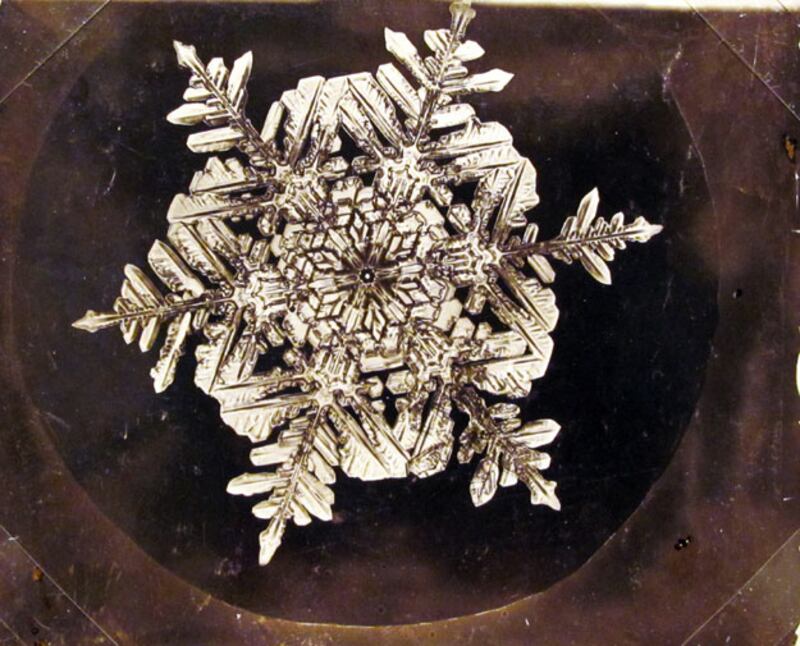 galleries/2010/01/26/the-art-of-the-snowflake/snow-crystals---1_pn5vqe