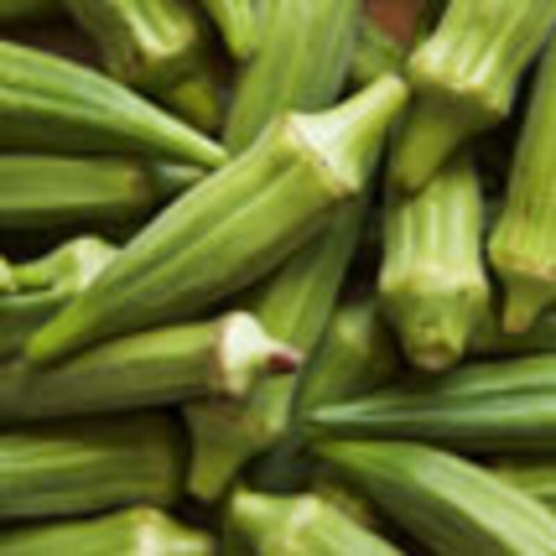 articles/2010/01/19/what-to-eat-southern-soul-food/what-to-eat---fried-okra_afufyx