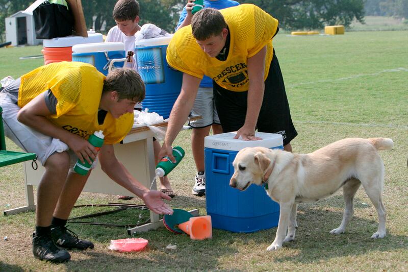 galleries/2012/07/19/the-13-thirstiest-states-from-arkansas-to-iowa/south-carolina-thirstiest-states_nmrocf