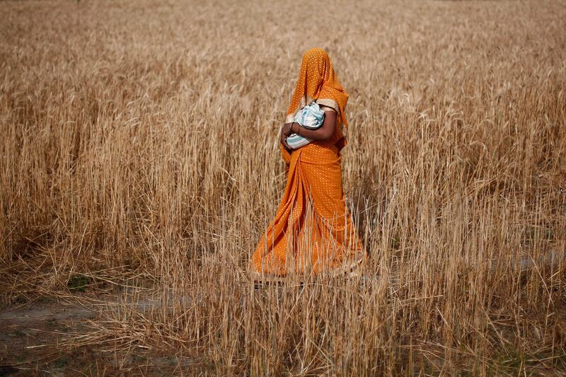 galleries/2014/04/19/week-in-pictures-april-19-2014/140418-week-photo6_gtcqti