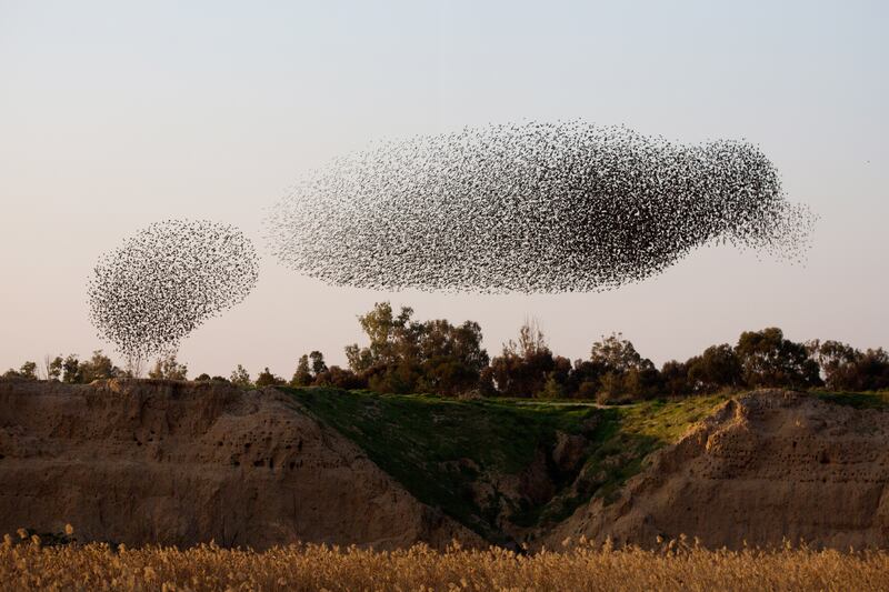 galleries/2014/02/15/the-week-in-pictures-february-15-2014/140214-wip-3_m0zkpi