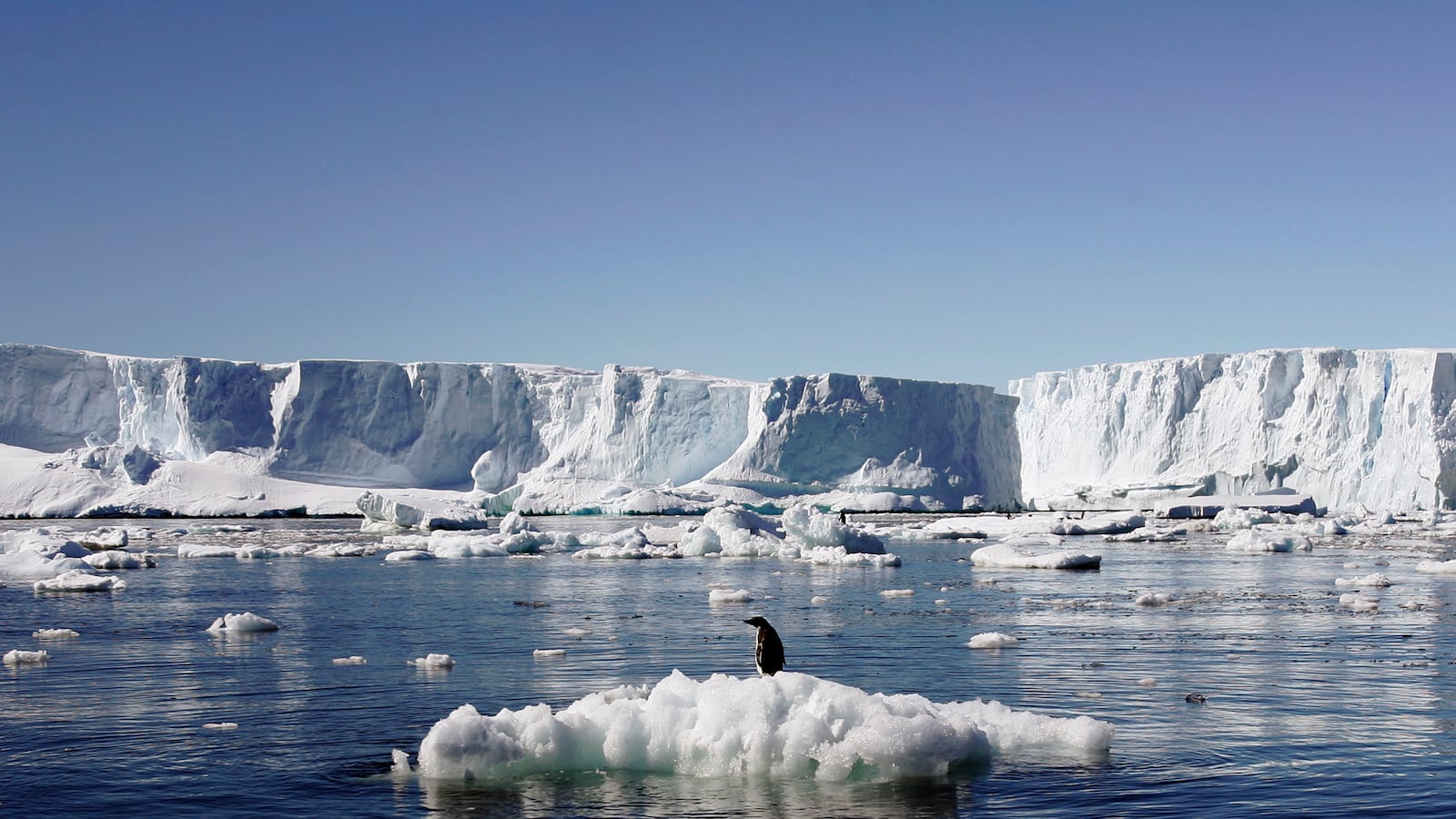 cheats/2014/05/06/east-antarctica-melt-worse-than-expected/140506-east-antarctica-cheat_kmouws