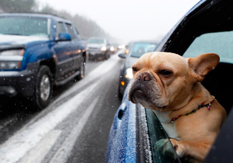 galleries/2010/12/26/blizzard-hits-the-northeast/snow-snow-snow-7_dp8etk