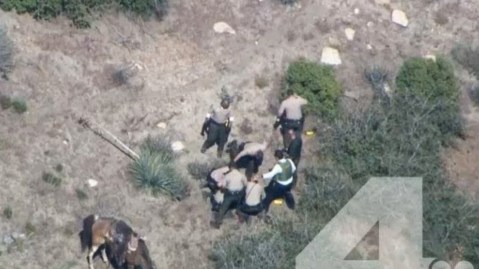 cheats/2015/04/10/california-cops-filmed-beating-a-man/150410-california-horse-cheat_uyan4u