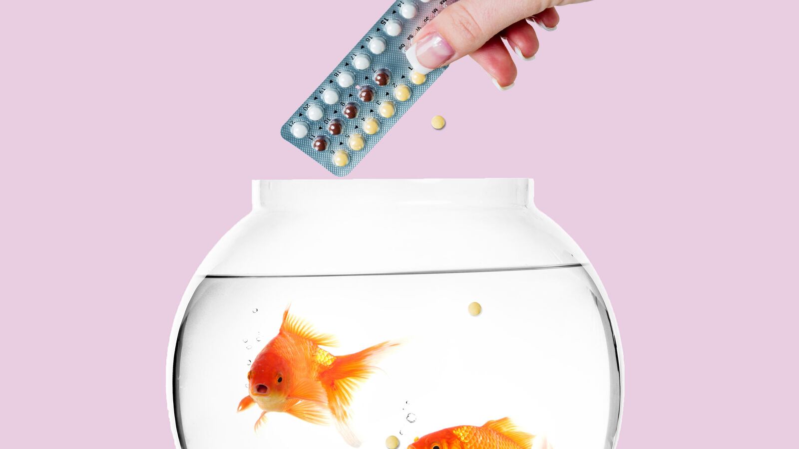 articles/2015/04/02/we-re-putting-fish-on-the-pill/150401-saunders-fertility-tease_ec0iyz