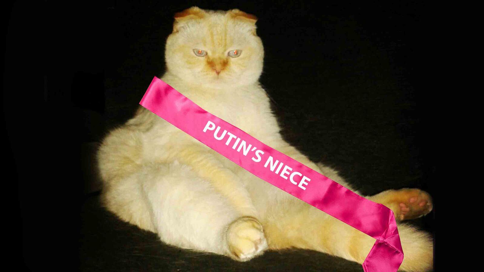 171110-zavadski-polonskaya-lede-2_isxert