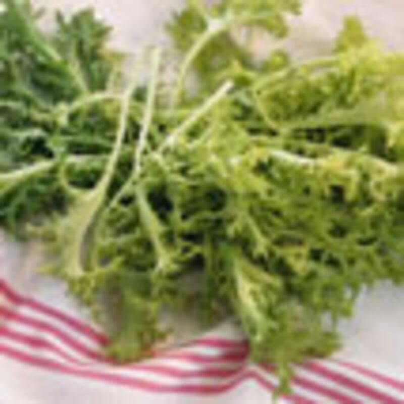 articles/2009/12/01/what-to-eat-winter-salads/what-to-eat---frisee-salad-lyonnaise-style_iztdr5