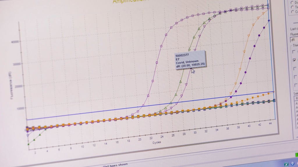 GettyImages-1210098065_o8fxdq