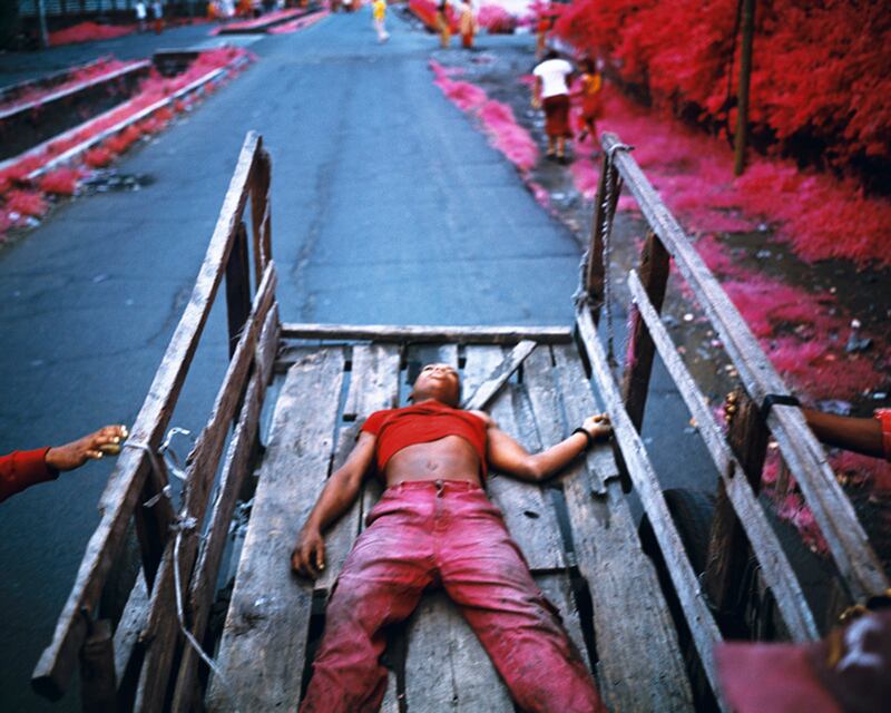 galleries/2013/06/03/richard-mosse-at-the-55th-venice-biennale-photos/mosse-simple-twist-of-fate_zztqvj