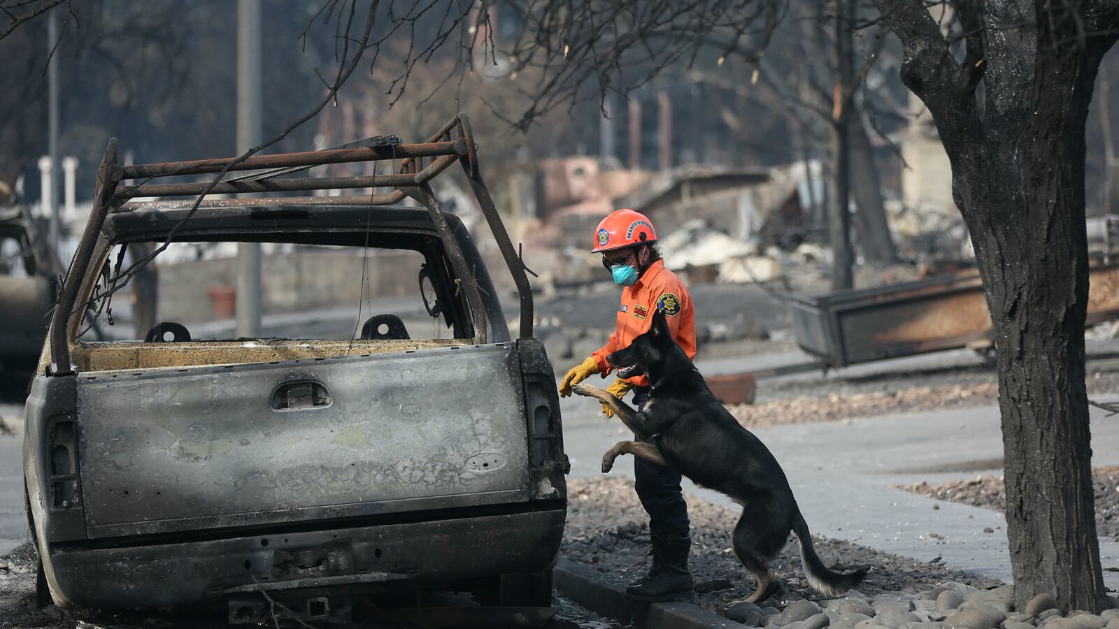 california-fires-fake-news-homeless-man_ftaplp