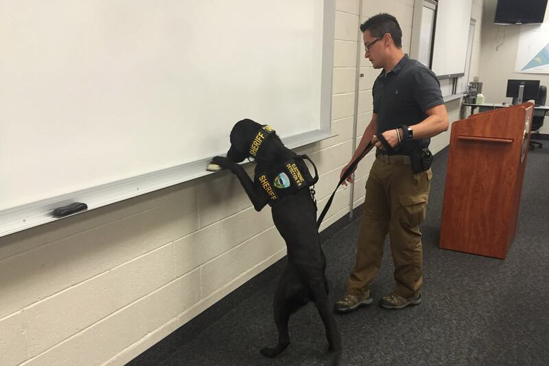 articles/2016/06/24/utah-police-now-have-a-kiddie-porn-sniffing-dog/160624-Slattery-porn-sniffing-dog-embed2_livqwj