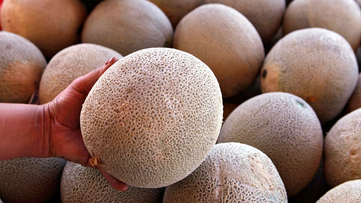 cheats/2011/09/29/new-listeria-warnings-issued/listeria-cantaloupes-cheat_fgph11