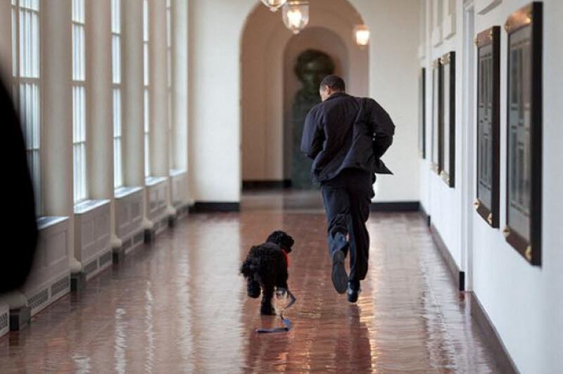 U.S. President Barack Obama runs with his dog down a hallway in the East Wing of the White House in Washington, D.C., U.S., March 19, 2009.  Pete Souza/Obama Foundation/Handout via REUTERS    THIS IMAGE HAS BEEN SUPPLIED BY A THIRD PARTY