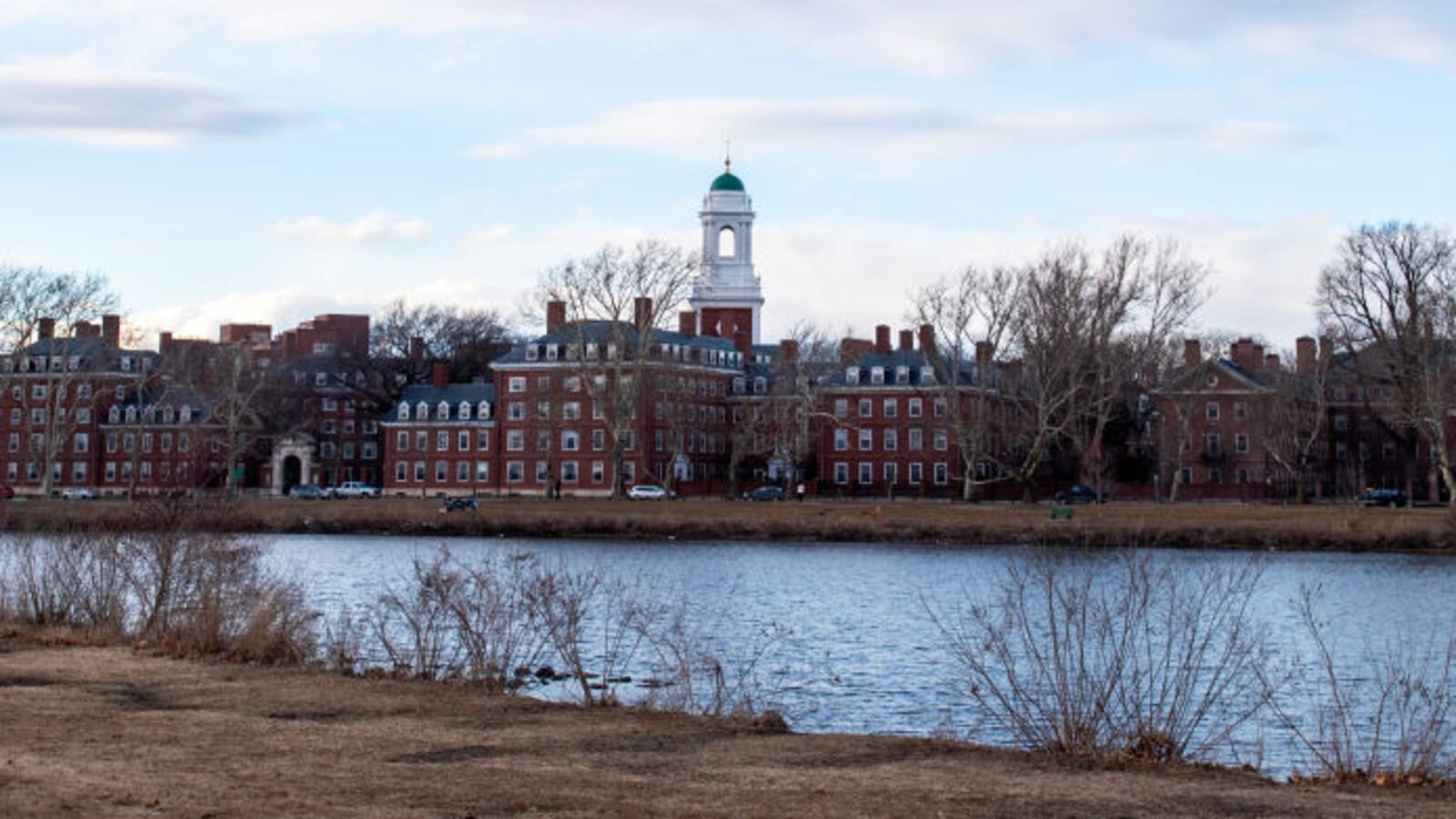 Harvard University interim president Alan Garber condemned an antisemitic cartoon shared by two pro-Palestine university student groups and a faculty organization.
