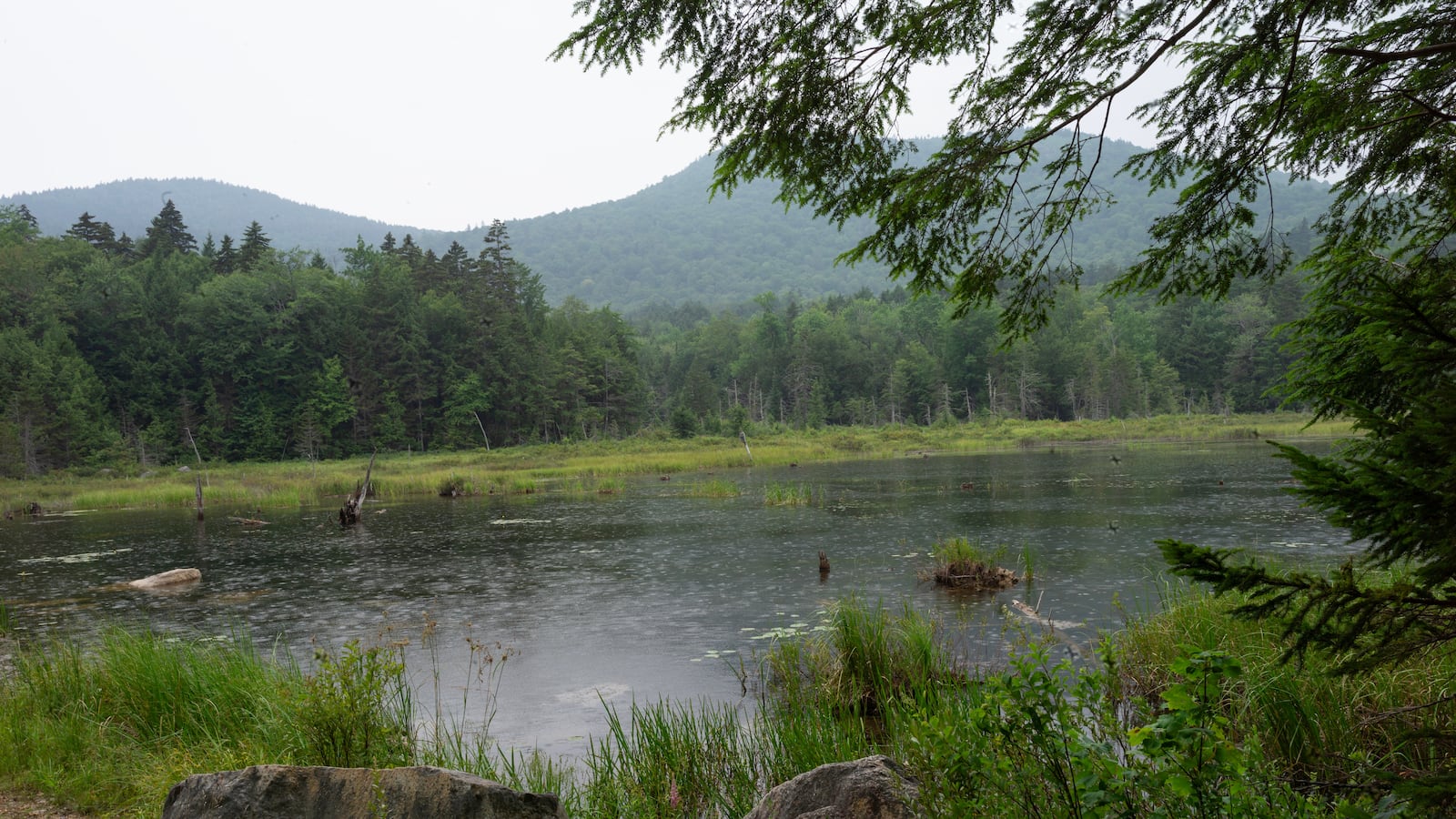 STOW, MAINE - JULY 27: Landscape views of the White Mountain National Forest, July 27, outside of Stow, Maine along the New Hampshire border. (Photo by Andrew Lichtenstein/Corbis via Getty Images)