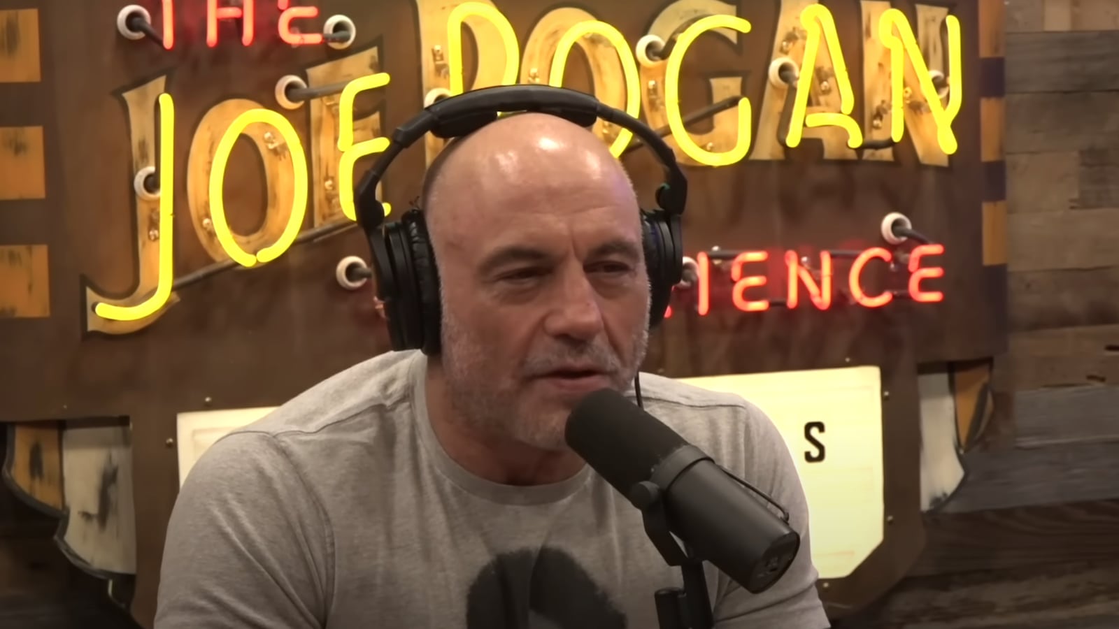 The Joe Rogan Experience