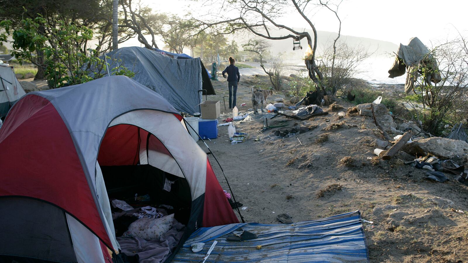 articles/2013/08/03/hawaii-flies-its-homeless-away-and-other-ideas-from-the-fringe/130730-homeless-hawaii-tease_djwdzp