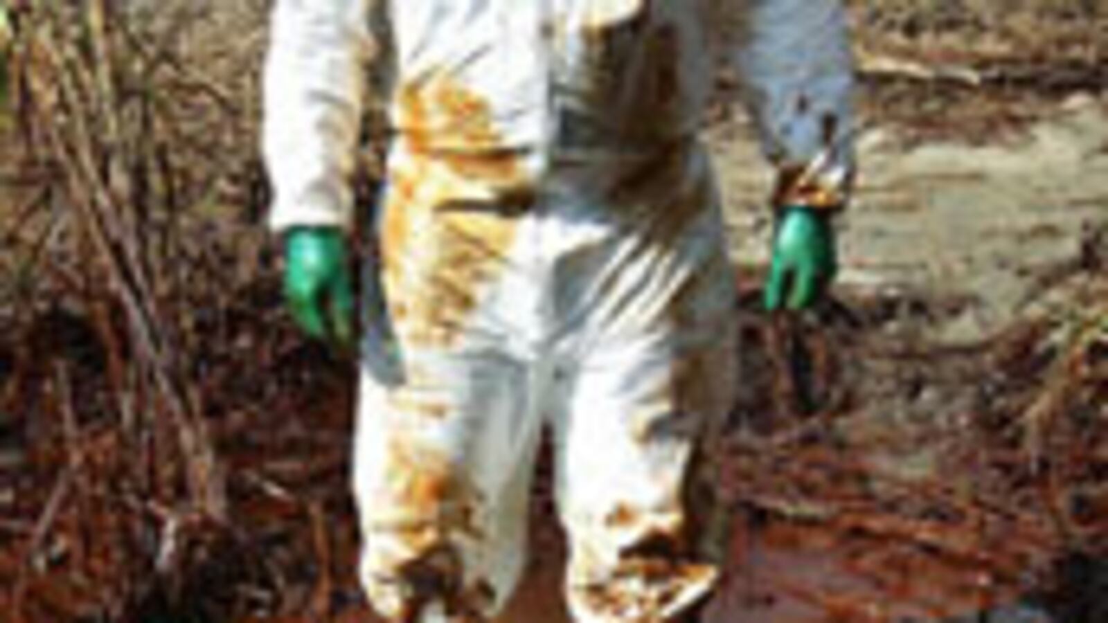 articles/2010/05/29/thad-allen-is-on-the-job-does-obama-need-a-czar-for-bp-disaster/salam-oil-czar_103667_fqdmeu