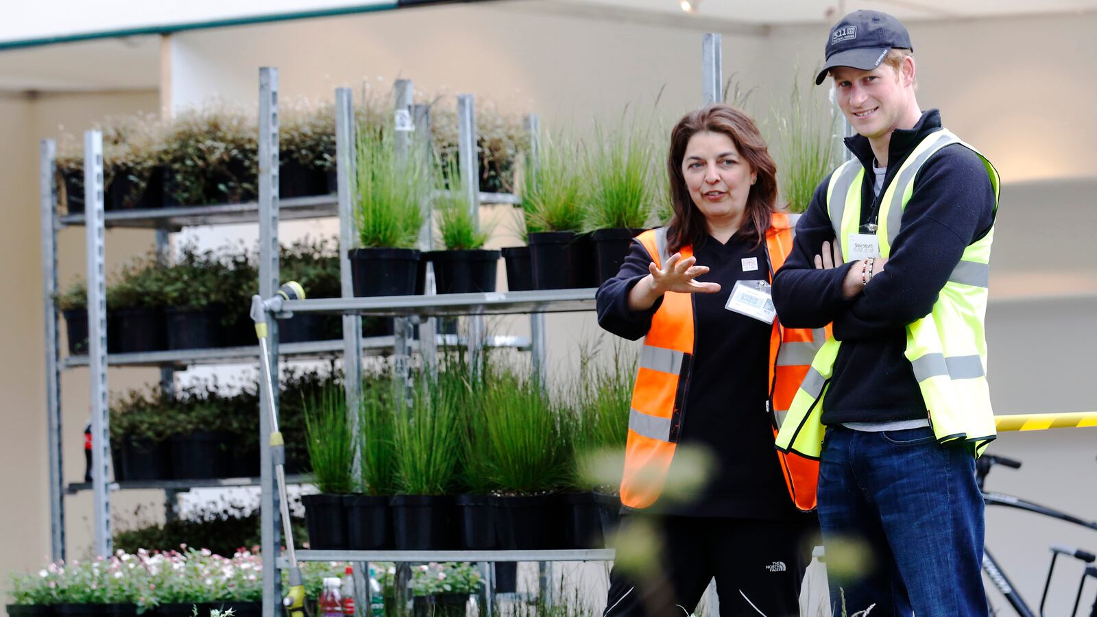 articles/2013/05/17/high-viz-harry-checks-out-his-chelsea-garden/130517-harry-chelsea-flower_y4oszj