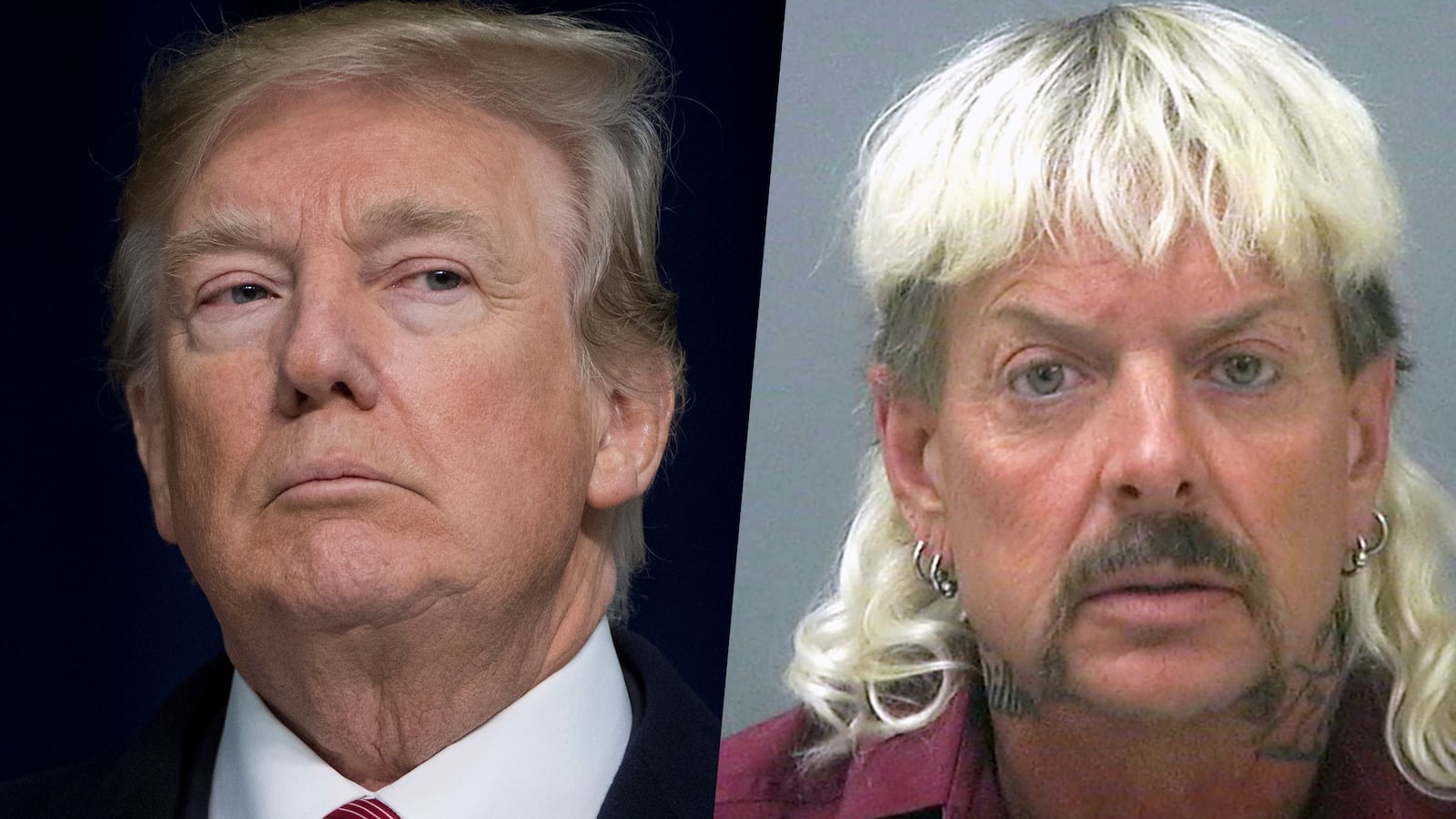 200508-bradley-joe-exotic-pardon-tease_sjyc9r